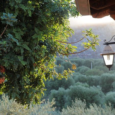 Masseria Lama Di Galizia 오스투니 외부 사진