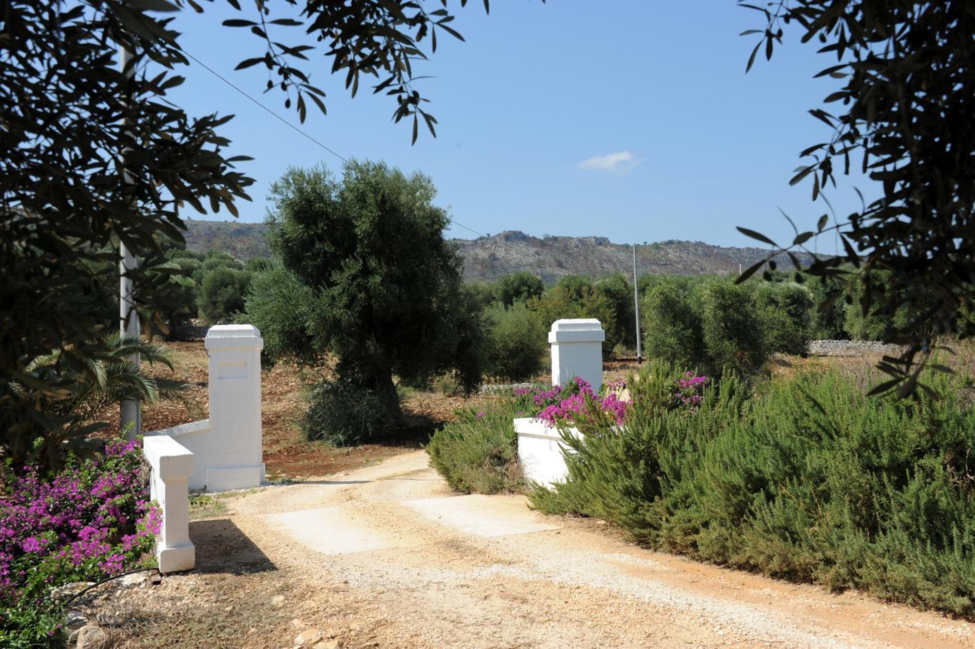 Masseria Lama Di Galizia 오스투니 외부 사진