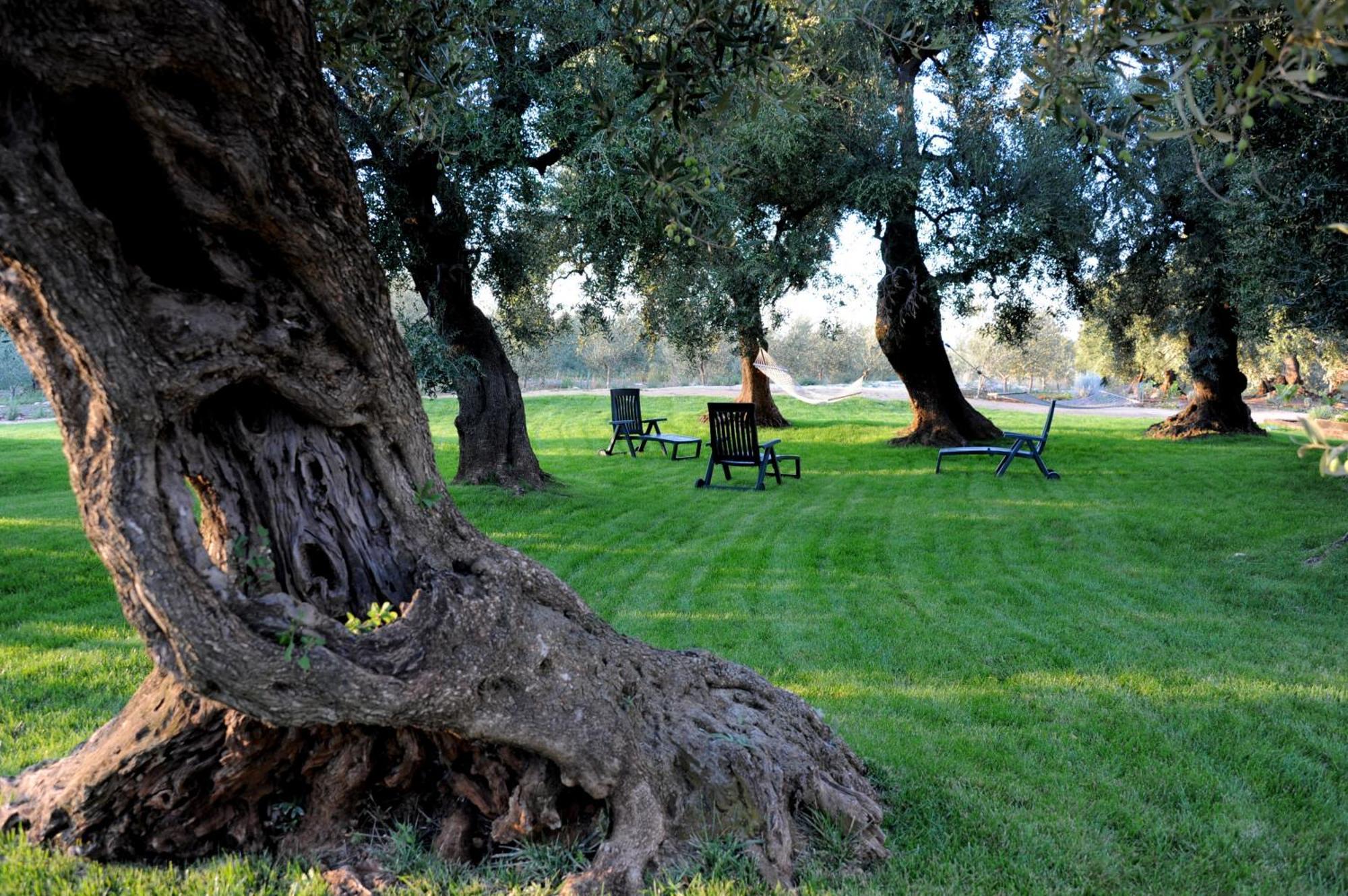 Masseria Lama Di Galizia 오스투니 외부 사진