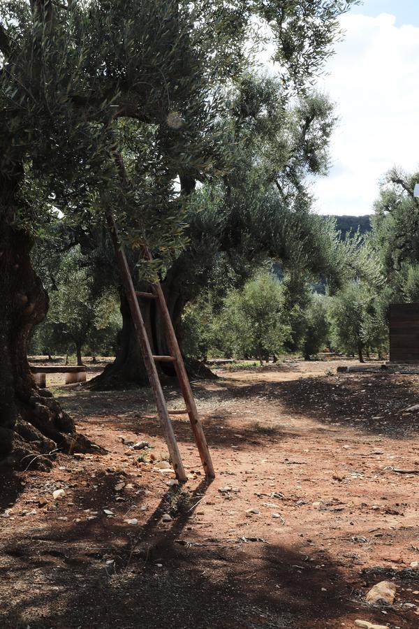 Masseria Lama Di Galizia 오스투니 외부 사진